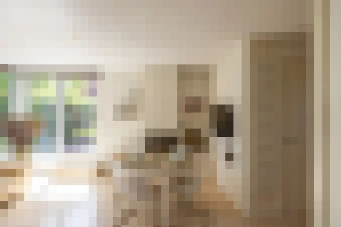 De Bonk 4 Zevenhuizen thumbnail 5