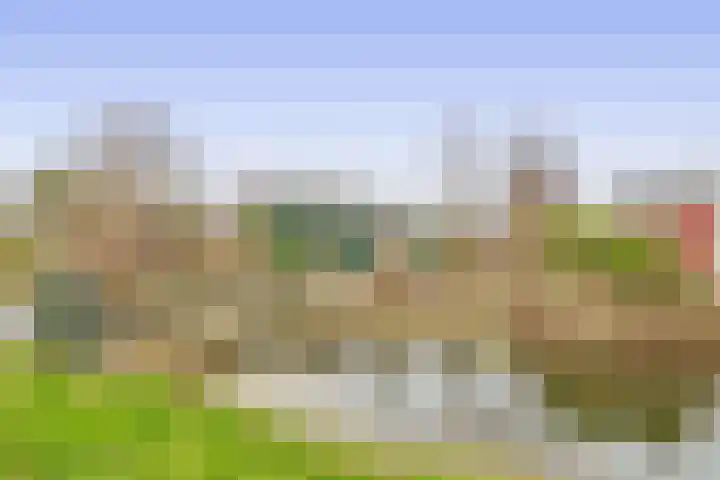 De Bonk 6 in Zevenhuizen