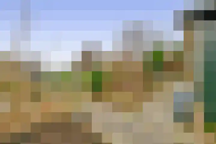 De Bonk 6 Zevenhuizen thumbnail 10