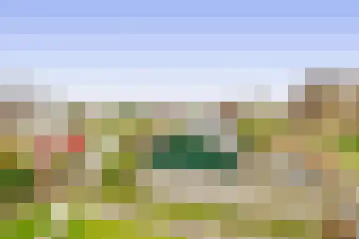 De Bonk 6 Zevenhuizen thumbnail 13