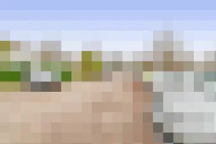 De Bonk 6 Zevenhuizen thumbnail 14