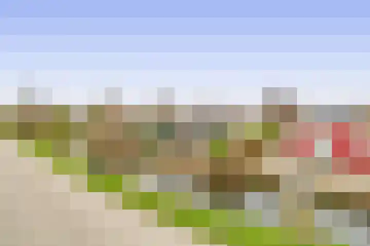 De Bonk 6 Zevenhuizen thumbnail 15