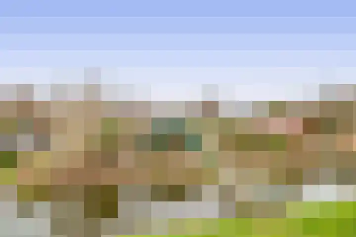 De Bonk 6 Zevenhuizen thumbnail 16
