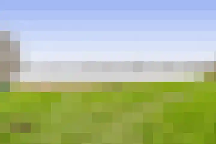De Bonk 6 Zevenhuizen thumbnail 17