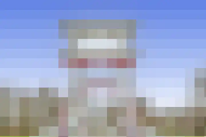 De Bonk 6 Zevenhuizen thumbnail 18