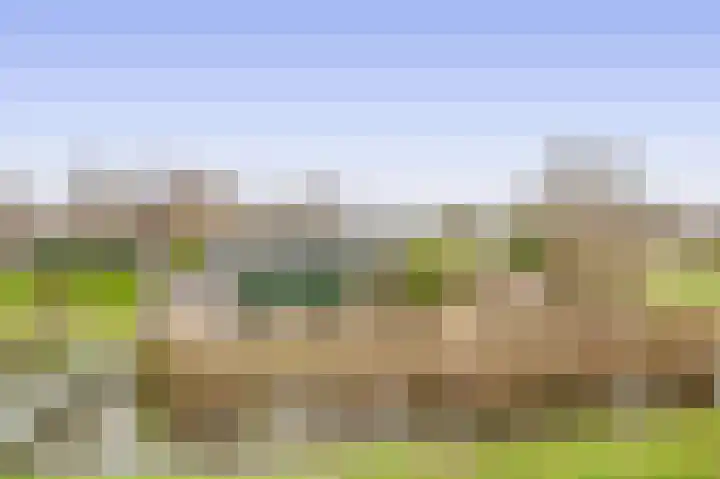De Bonk 6 Zevenhuizen foto 3