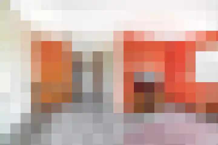 De Bonk 6 Zevenhuizen thumbnail 5