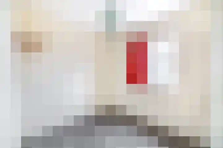 De Bonk 6 Zevenhuizen thumbnail 7