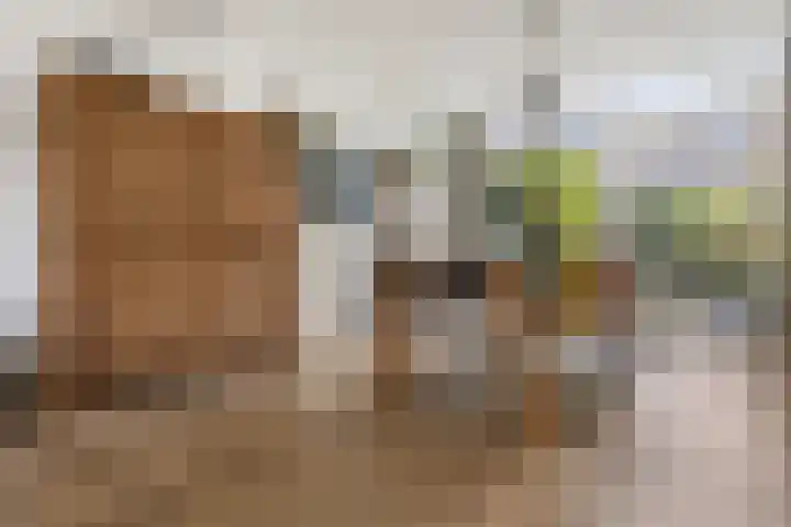 De Bonkelaar 11 Malden thumbnail 17