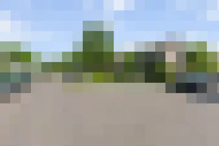De Bonkelaar 11 Malden thumbnail 18