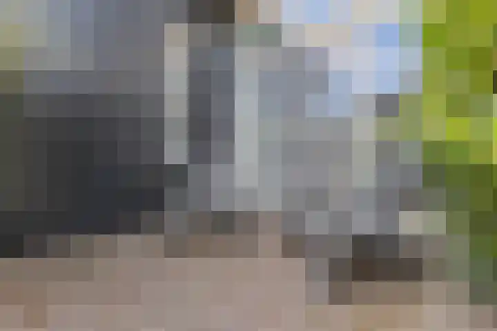 De Bonkelaar 11 Malden thumbnail 28