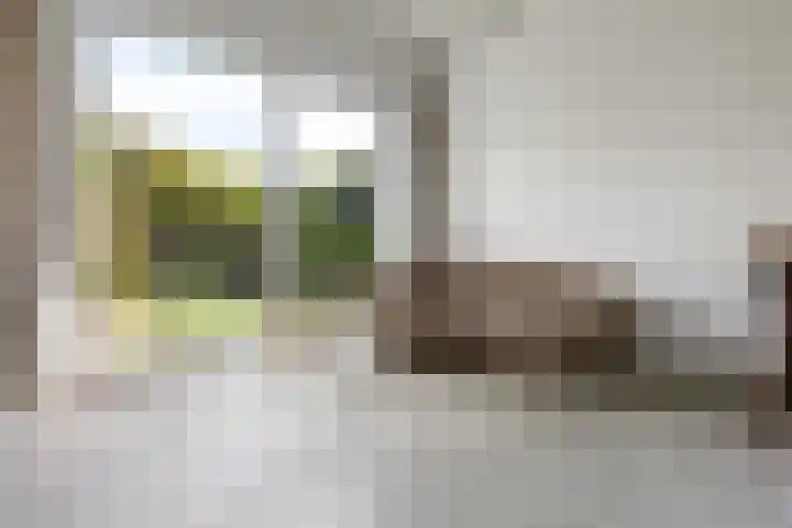 De Bonkelaar 11 Malden thumbnail 39
