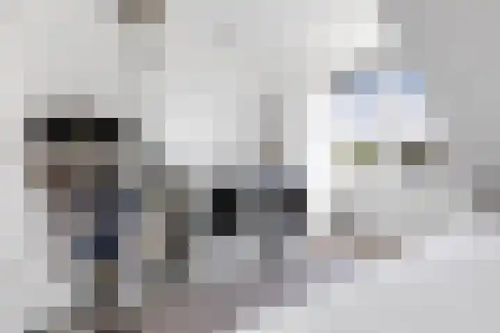 De Bonkelaar 11 Malden thumbnail 60