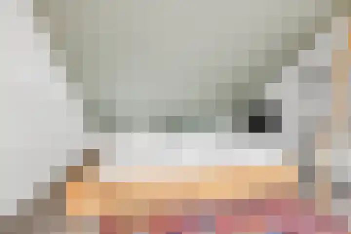 De Bonkelaar 11 Malden thumbnail 62