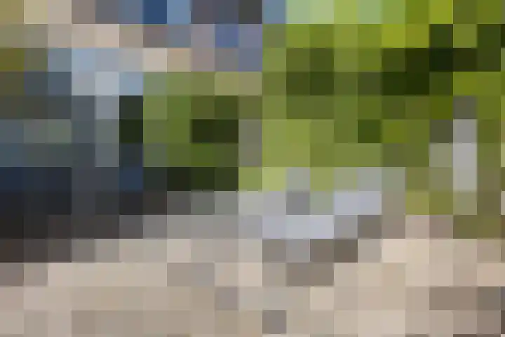 De Bonkelaar 11 Malden thumbnail 63