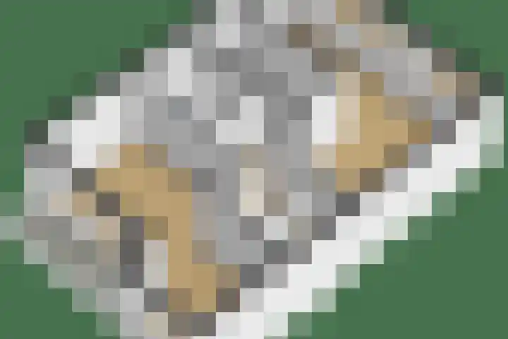 De Bonkelaar 11 Malden thumbnail 73