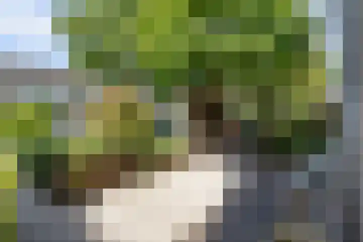 De Bonkelaar 11 Malden thumbnail 9