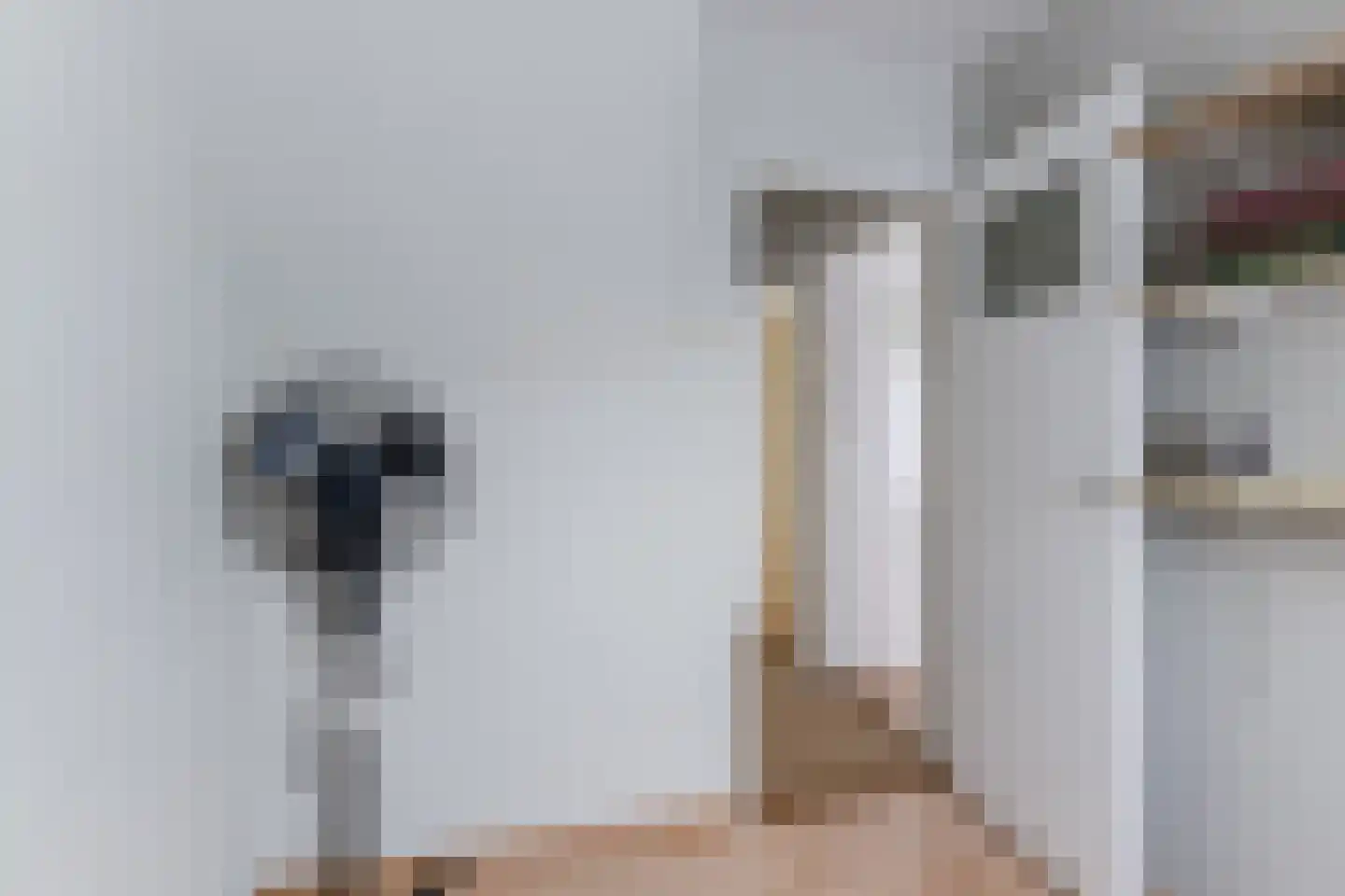 De Bonkelaar 18 Hapert thumbnail 21