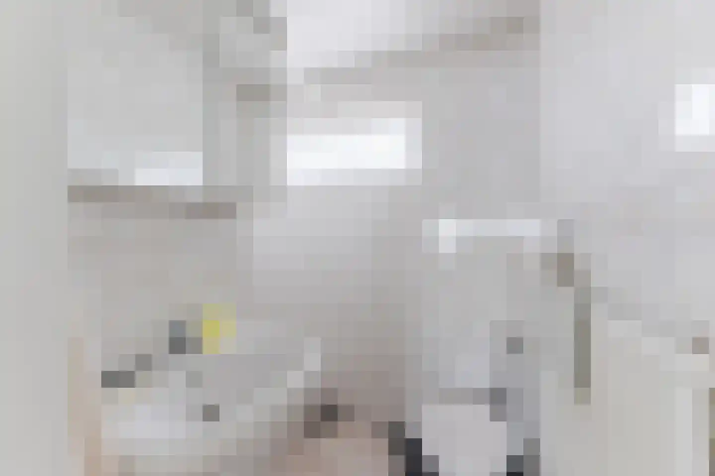 De Bonkelaar 18 Hapert thumbnail 22