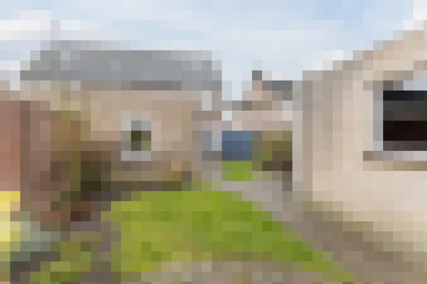 De Bonkelaar 18 Hapert thumbnail 30