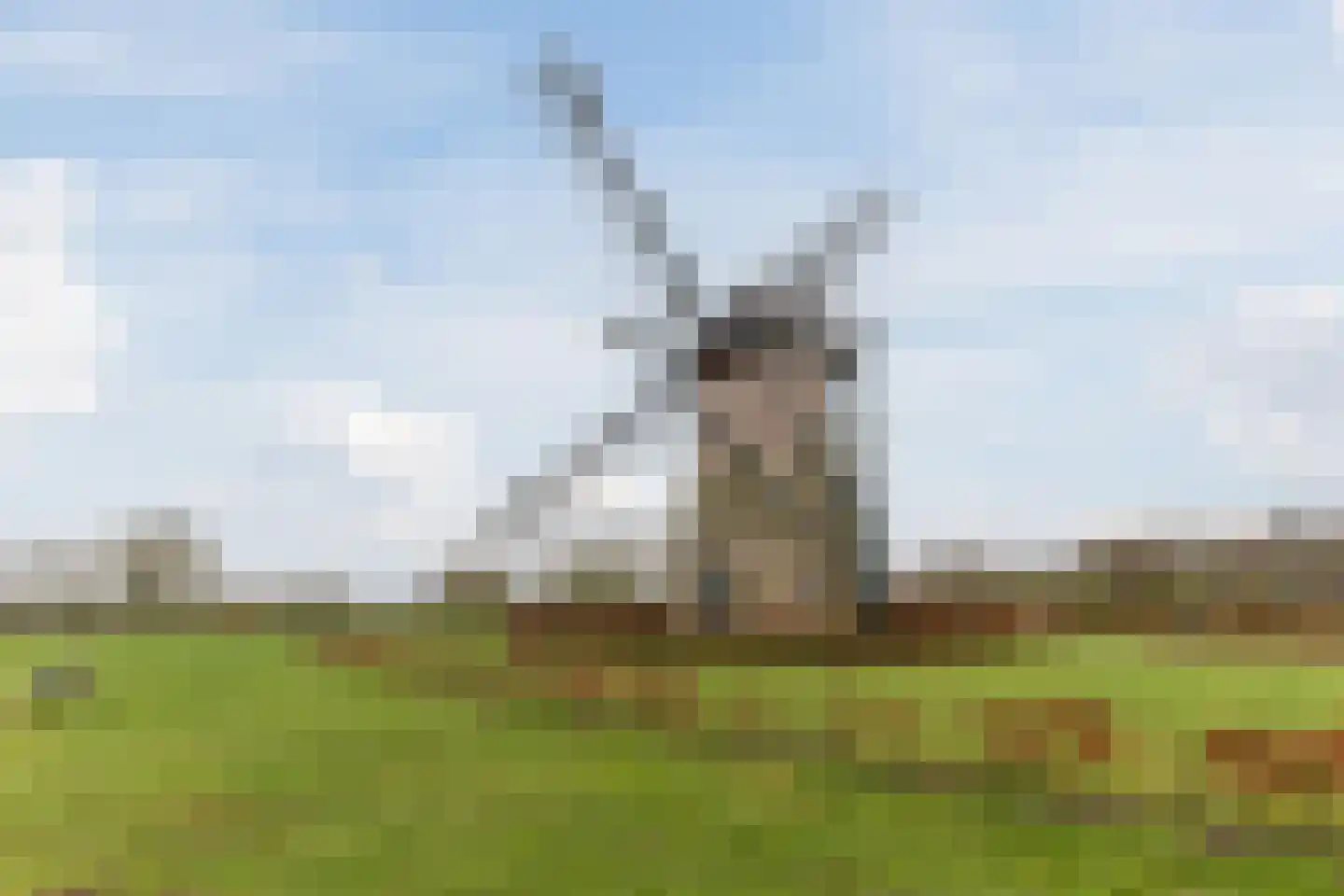 De Bonkelaar 18 Hapert thumbnail 37
