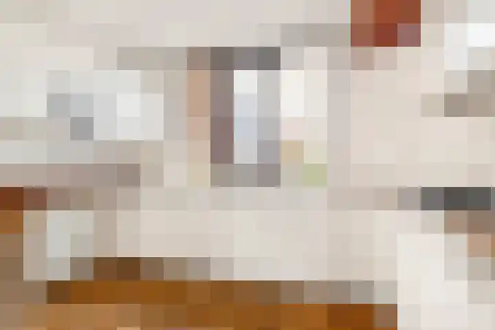 De Bonkelaar 19 Uitgeest thumbnail 10