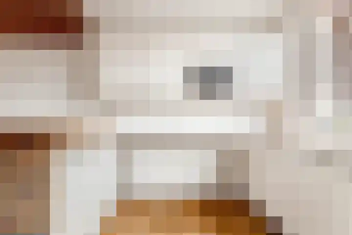 De Bonkelaar 19 Uitgeest thumbnail 11