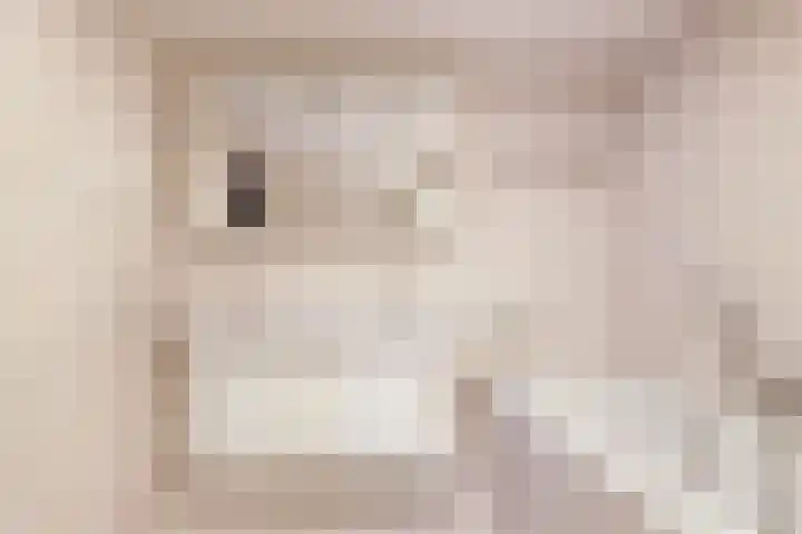 De Bonkelaar 19 Uitgeest thumbnail 25