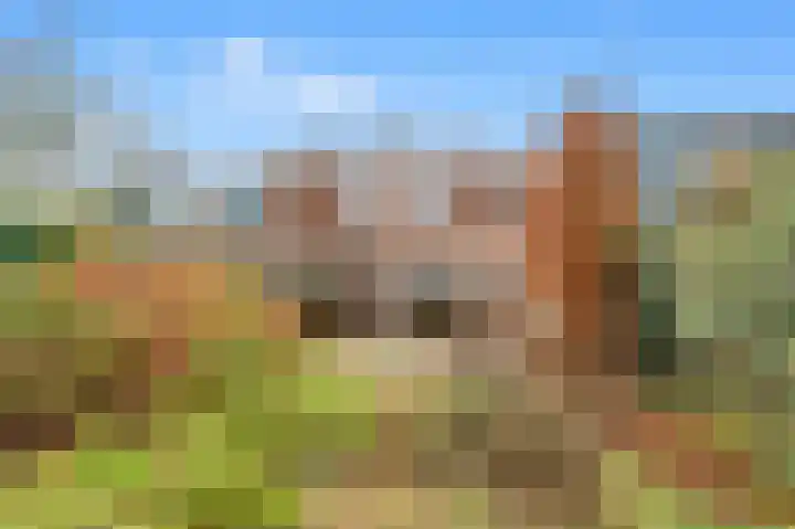 De Bonkelaar 19 Uitgeest thumbnail 32