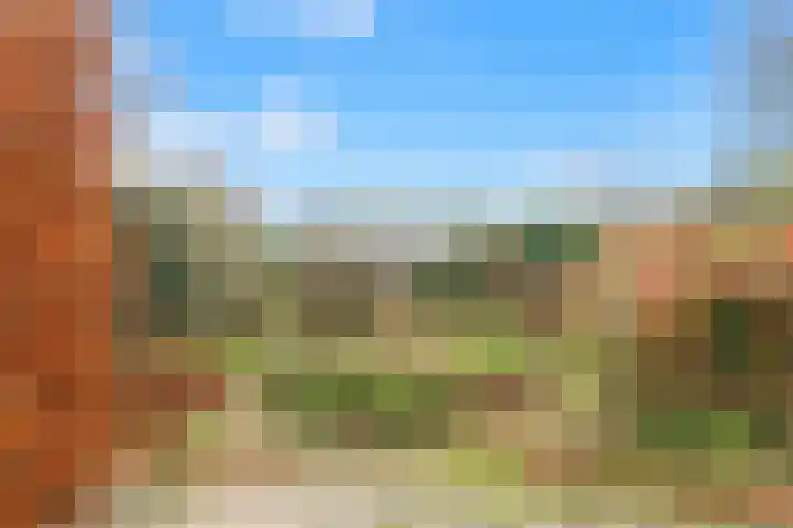 De Bonkelaar 19 Uitgeest thumbnail 34