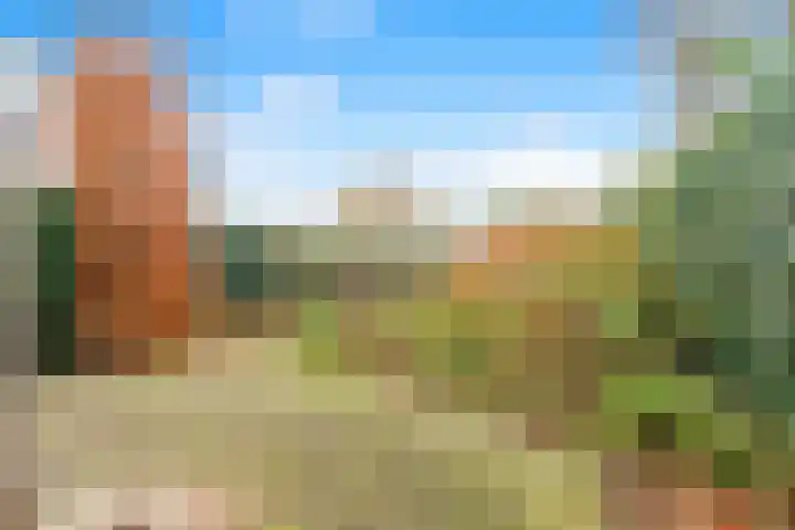 De Bonkelaar 19 Uitgeest thumbnail 35