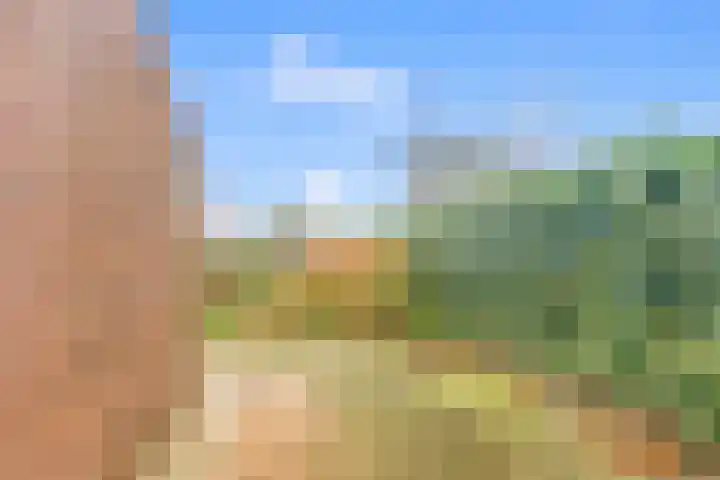De Bonkelaar 19 Uitgeest thumbnail 36