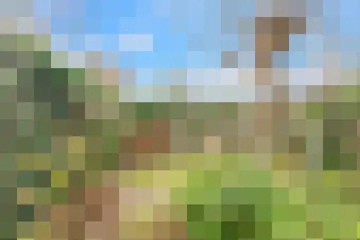 De Bonkelaar 19 Uitgeest thumbnail 37