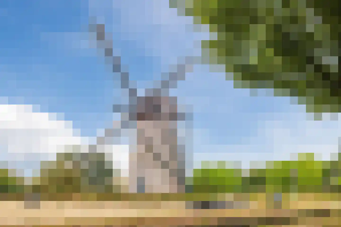 De Bonkelaar 20 Hapert thumbnail 31