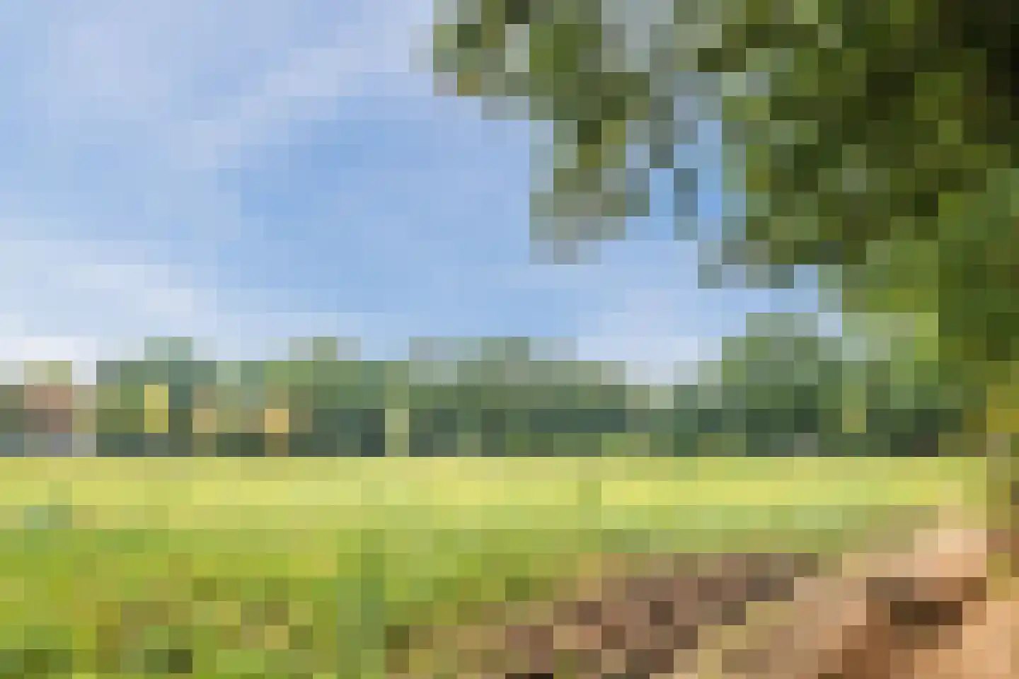 De Bonkelaar 20 Hapert thumbnail 33