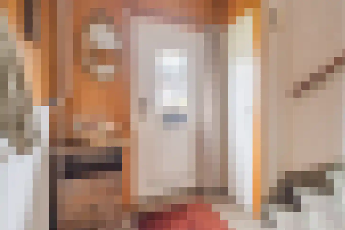 De Bonkelaar 20 Hapert thumbnail 4