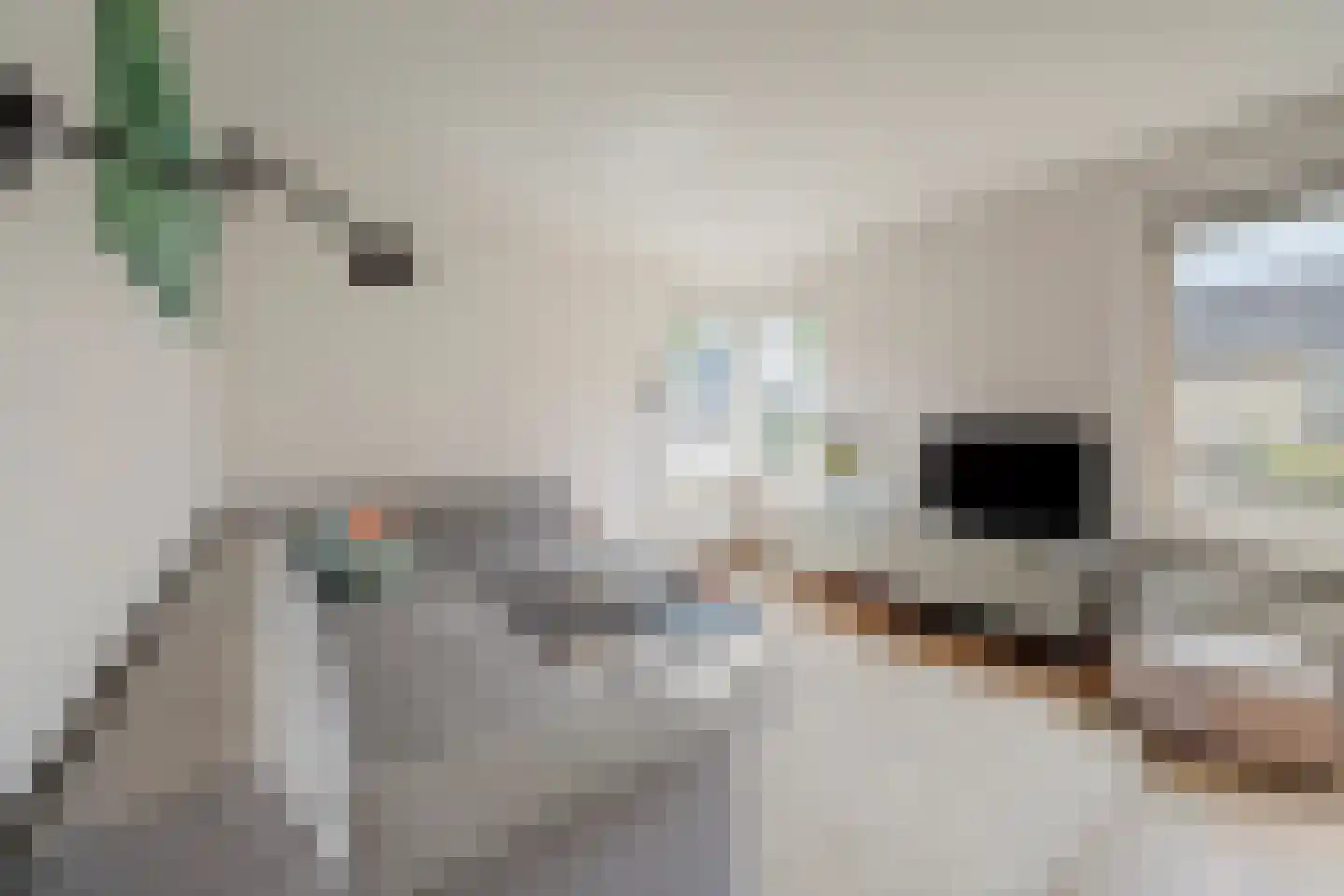 De Bonkelaar 21 Gendt thumbnail 10