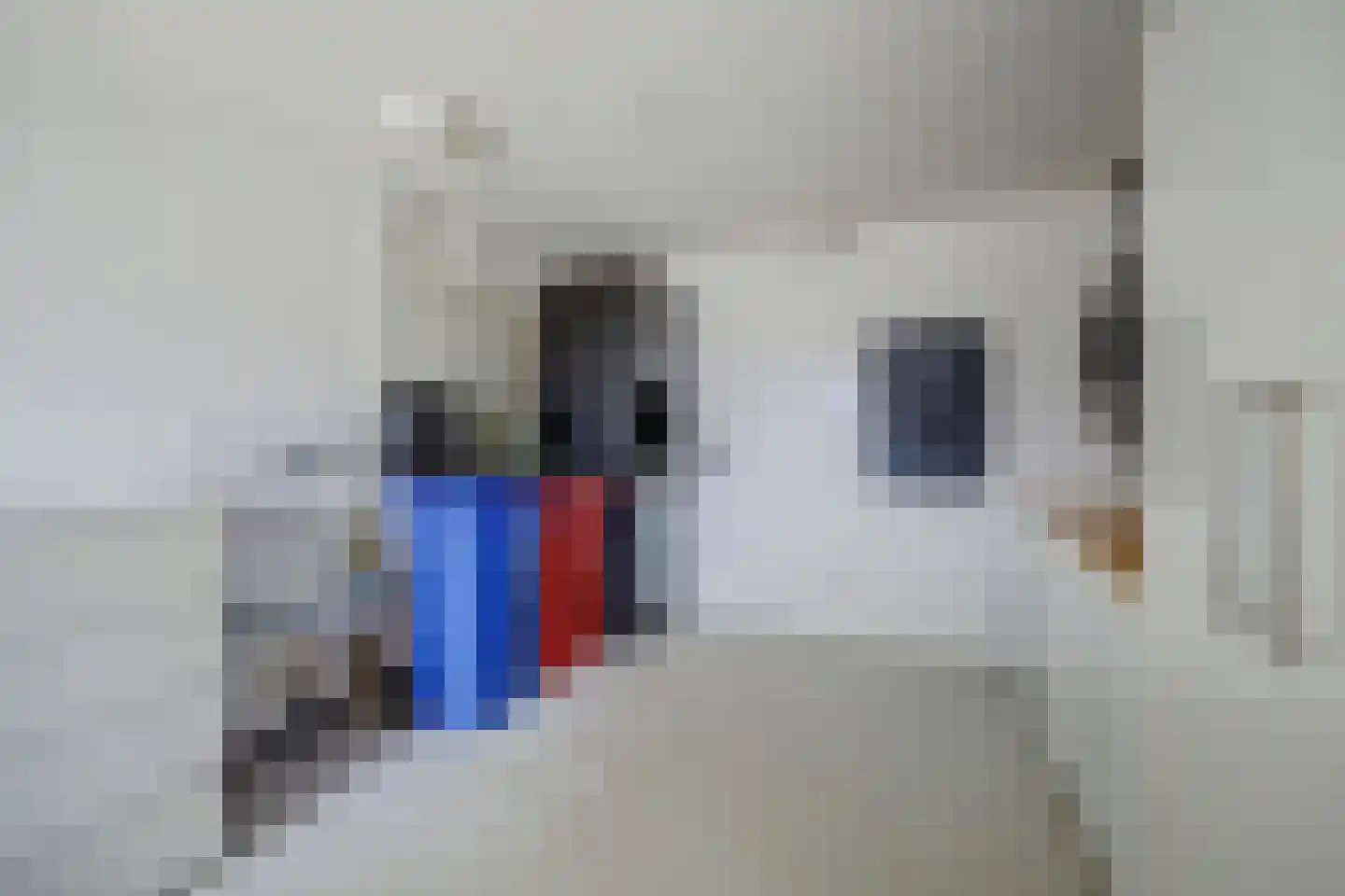De Bonkelaar 21 Gendt thumbnail 26