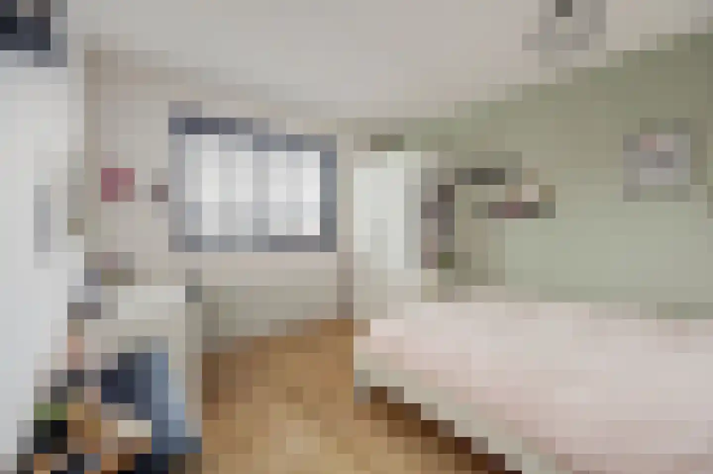 De Bonkelaar 21 Gendt thumbnail 38