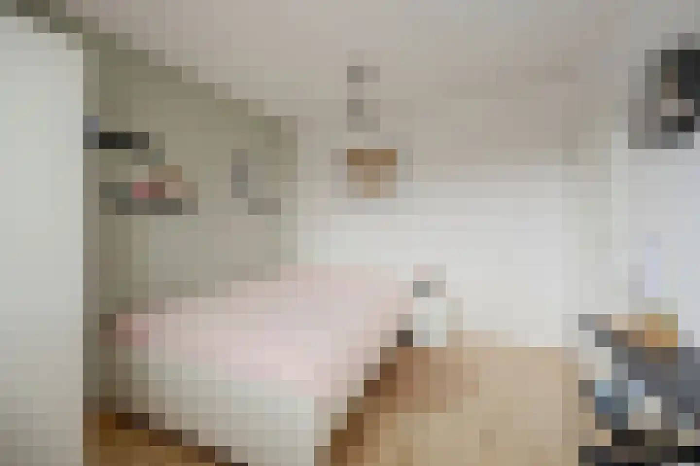 De Bonkelaar 21 Gendt thumbnail 39