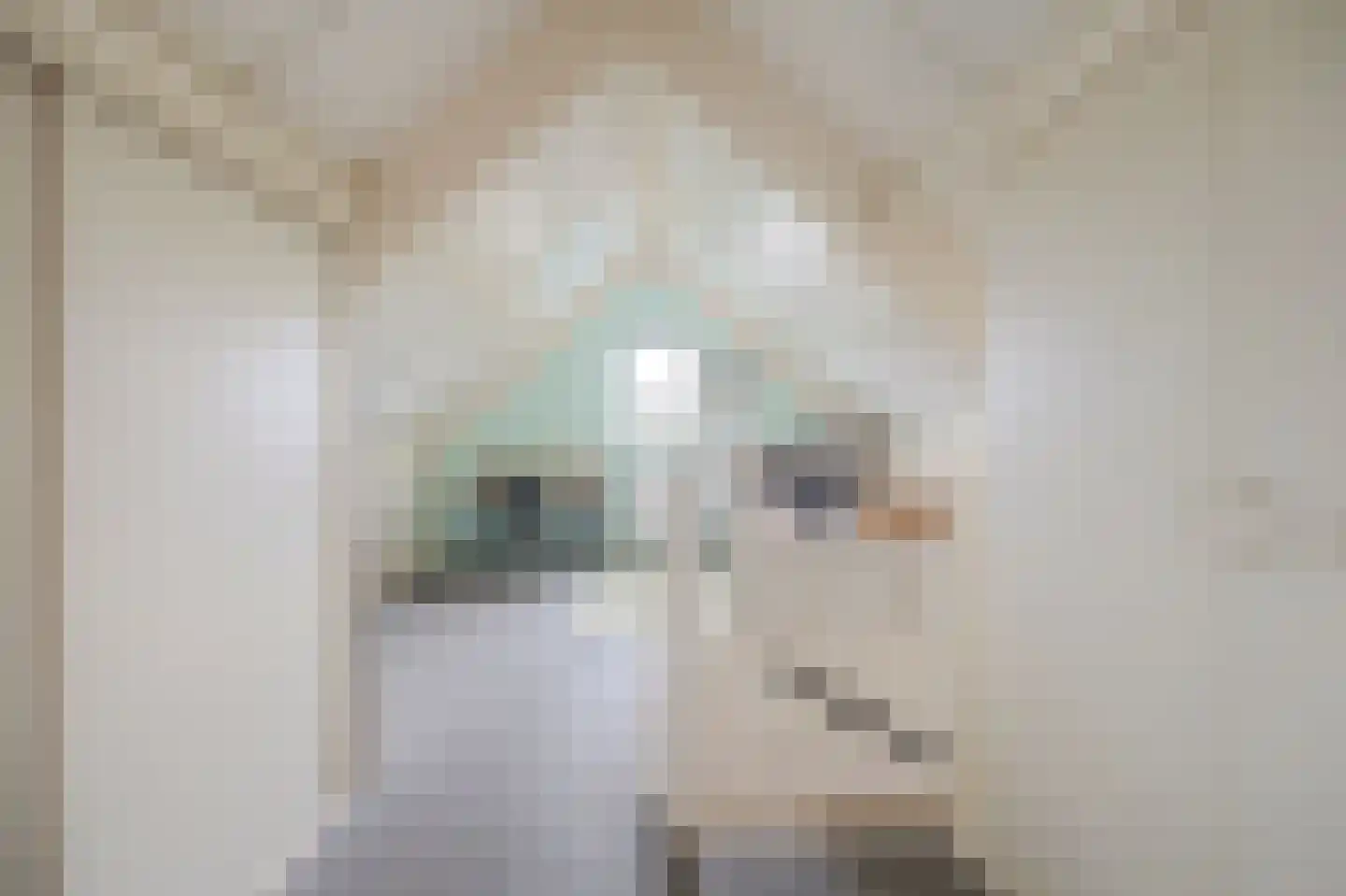 De Bonkelaar 21 Gendt thumbnail 50