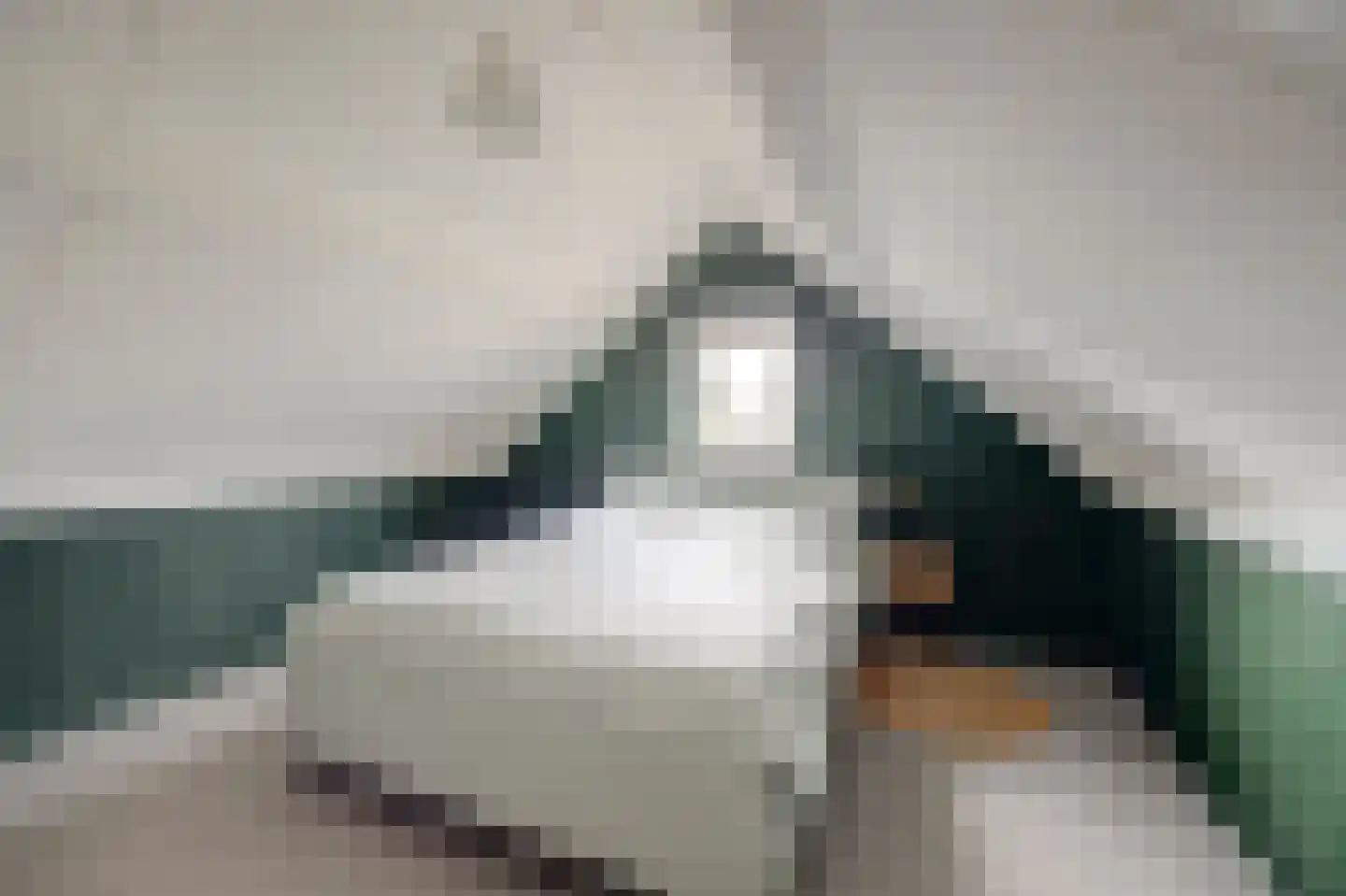 De Bonkelaar 21 Gendt thumbnail 54