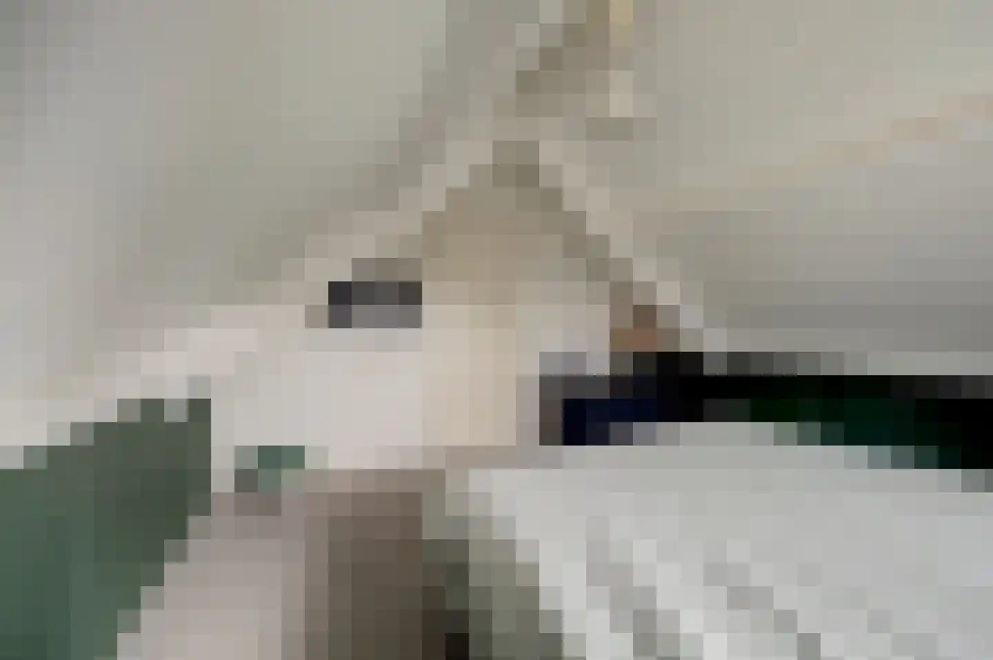 De Bonkelaar 21 Gendt thumbnail 56