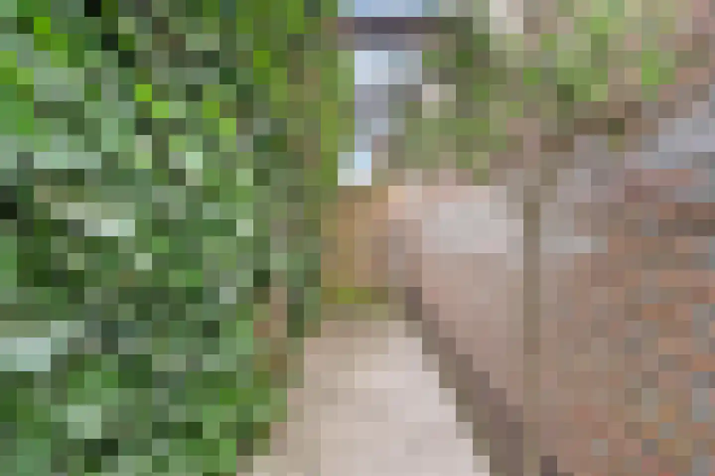 De Bonkelaar 21 Gendt thumbnail 59