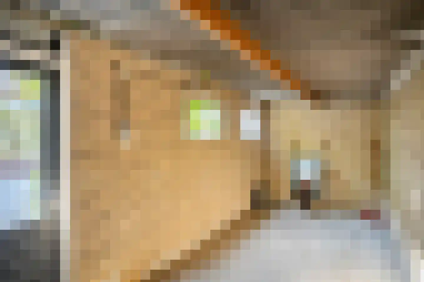 De Bonkelaar 26 Malden thumbnail 25