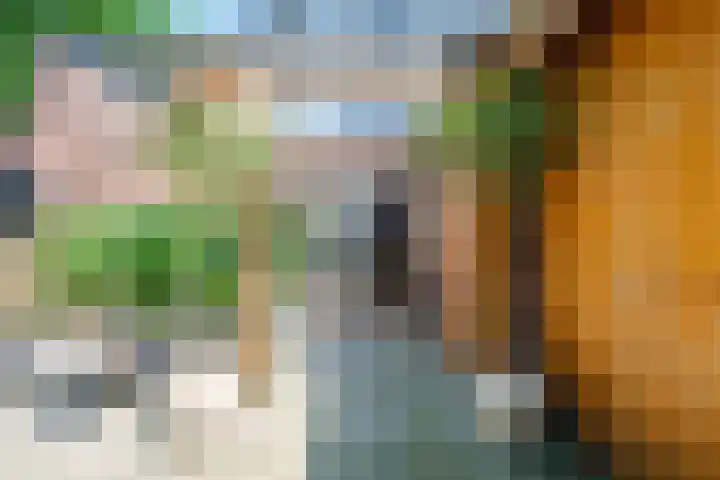De Bonkelaar 28 Balkbrug thumbnail 28