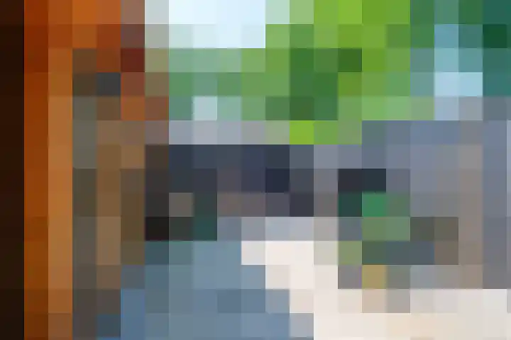 De Bonkelaar 28 Balkbrug thumbnail 29