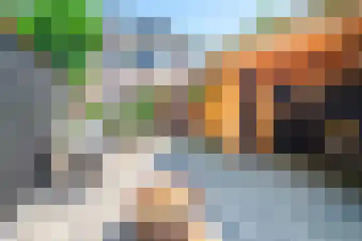 De Bonkelaar 28 Balkbrug thumbnail 33