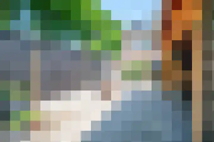 De Bonkelaar 28 Balkbrug thumbnail 34