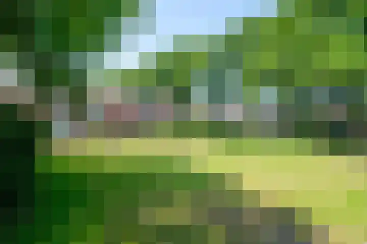 De Bonkelaar 28 Balkbrug thumbnail 39